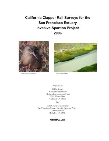 California Clapper Rail Surveys for the San Francisco Estuary ...