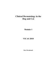 Clinical Dermatology in the Dog and Cat Module 1 ... - Love My Pet