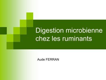 La digestion microbienne chez les Ruminants ... - Physiologie ENVT