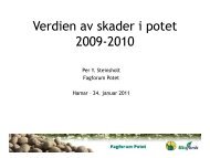 Kvalitetsfeil i norsk potetproduksjon - Fagforum Potet