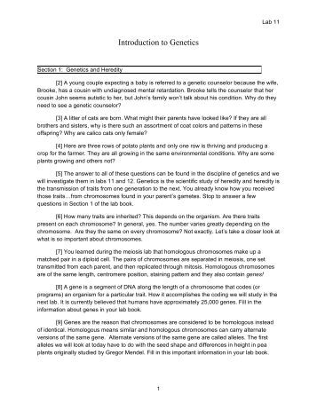 Worksheets Introduction To Genetics Worksheet nelson 11 biology textbook genetics and heredity unit lab introduction to pierce college