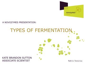 TYPES OF FERMENTATION - Novozymes