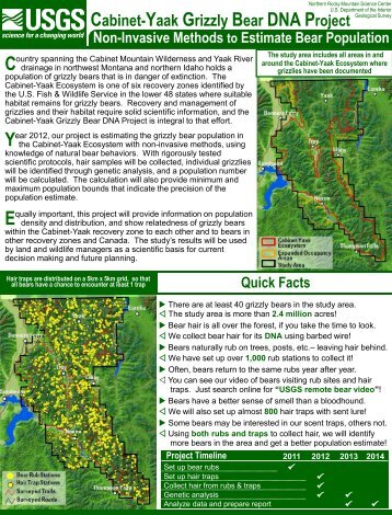 Cabinet-Yaak Grizzly Bear DNA Project - Northern Rocky Mountain ...