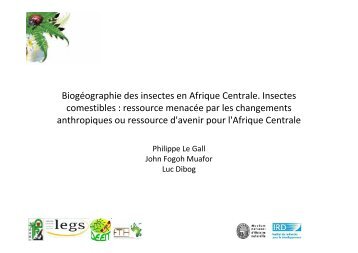 BiogÃ©ographie des insectes en Afrique Centrale - IRD