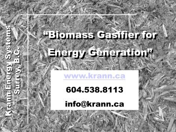 Kris Luzynski: Biomass Gasifier for Energy Generation