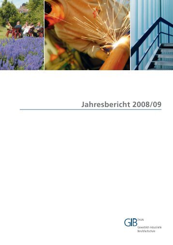 Jahresbericht 2008/09