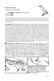 BALI STARLING Leucopsar rothschildi - BirdBase