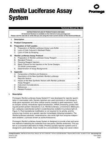 Renilla Luciferase Assay System Technical Manual, TM055