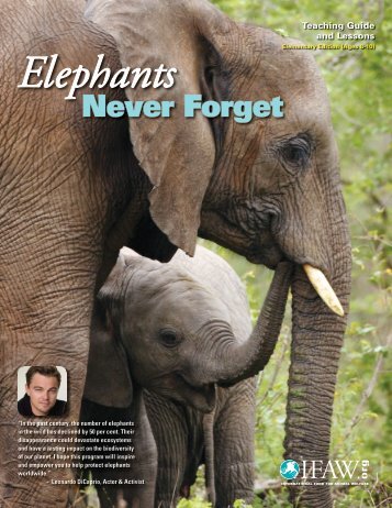 Elephants Never Forget Teaching Guide and - Time for Kids