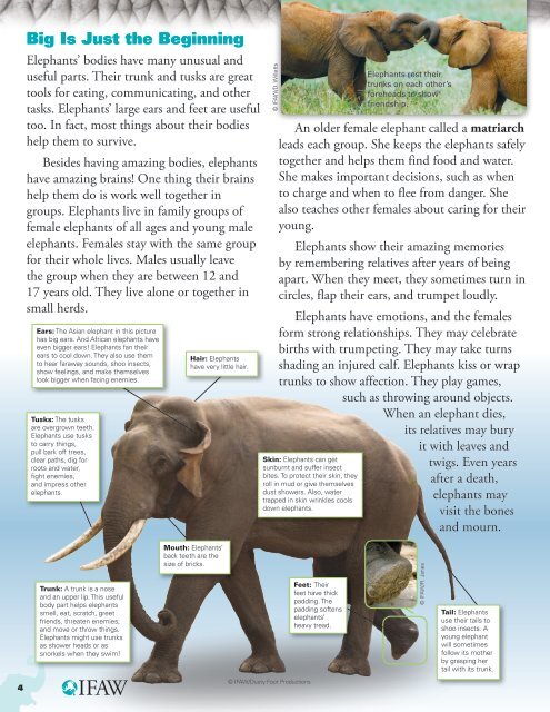 Elephants Never Forget Teaching Guide and - Time for Kids