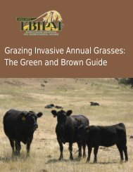 “Green and Brown” Grazing Strategy