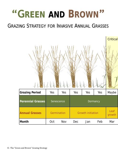 “Green and Brown” Grazing Strategy