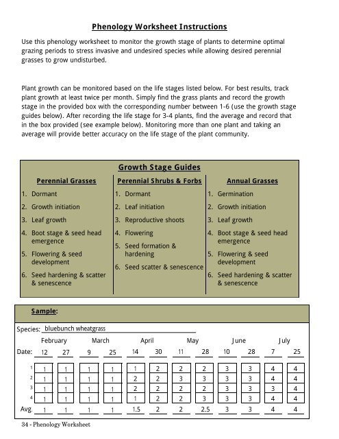 “Green and Brown” Grazing Strategy