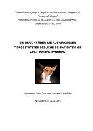 Hausarbeit Wundexpertin Icw Ausblick : Fortbildung Wundexperte Icw Hausarbeiten De Hausarbeit Wundexpertin Icw Ausblick : Fortbildung Wundexperte Icw Hausarbeiten De