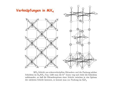 s - KemnitzLab