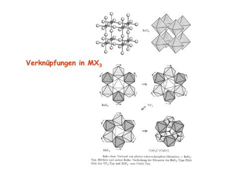 s - KemnitzLab