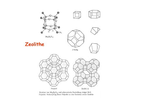 s - KemnitzLab