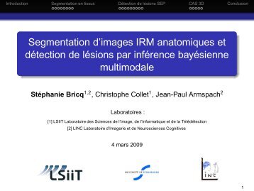 Segmentation d'images IRM anatomiques et ... - Uuu.enseirb.fr