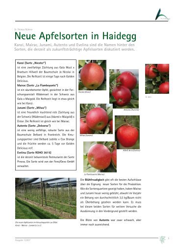 01-2007 Neue Apfelsorten in Haidegg