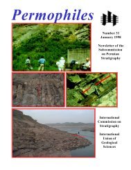 HOUSTON -メルトンワークジャケット- Best Price Used 2020 LEXUS IS for Sale - Japanese Used Cars