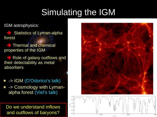 Hydrodynamical simulations of cosmic structures