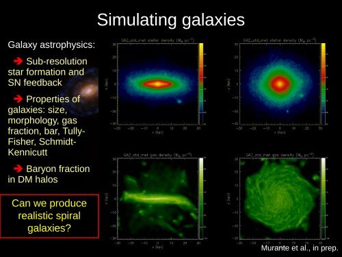 Hydrodynamical simulations of cosmic structures