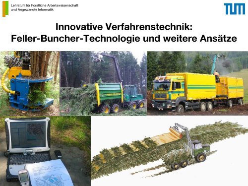 Innovative Verfahrenstechnik: Feller-Buncher-Technologie und ...