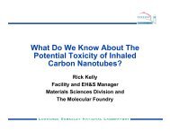 Carbon Nanotube Tox Summary2