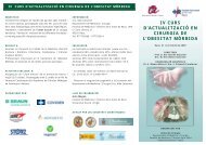 iv curs d'actualitzaciÃ³ en cirurgia de l'obesitat mÃ²rbida - Grup Sagessa