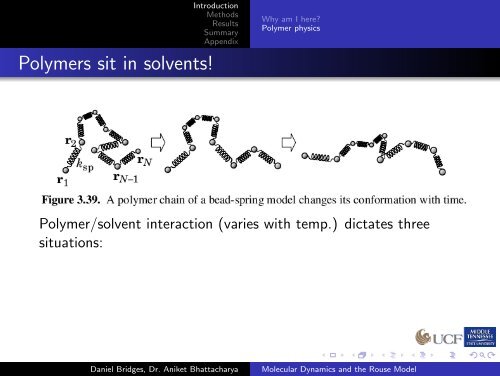 Molecular Dynamics and the Rouse Model - An Introduction to the ...