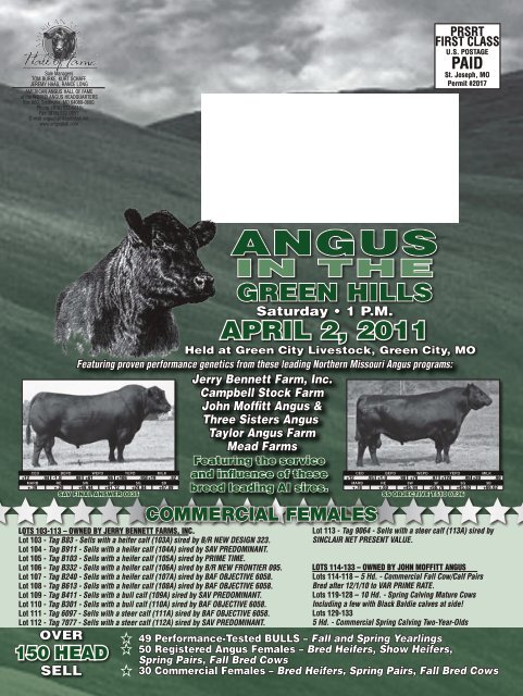 IN THE GREEN HILLS - Angus Journal