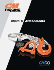 Chain & Attachments - Columbus McKinnon Corporation