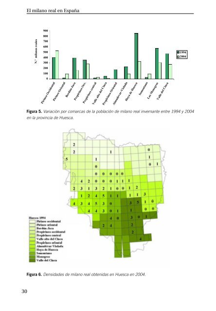 El milano real en EspaÃ±a. II Censo Nacional (2004) - SEO/BirdLife