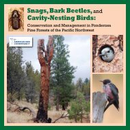 Snags, Bark Beetles, and Cavity-Nesting Birds: - American Bird ...