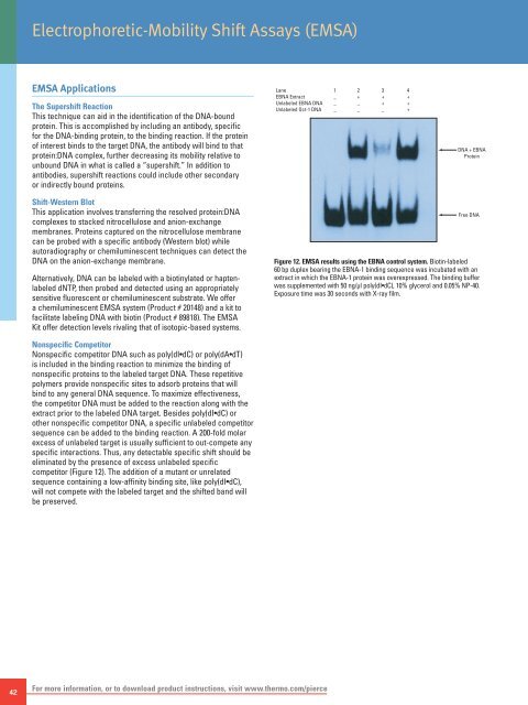 Thermo Scientific Pierce Protein Interaction Technical Handbook