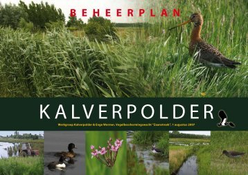 Beheerplan voor de Kalverpolder - Vogelbeschermingswacht ...