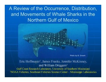 Occurrence, distribution, and movements of whale sharks in the ...