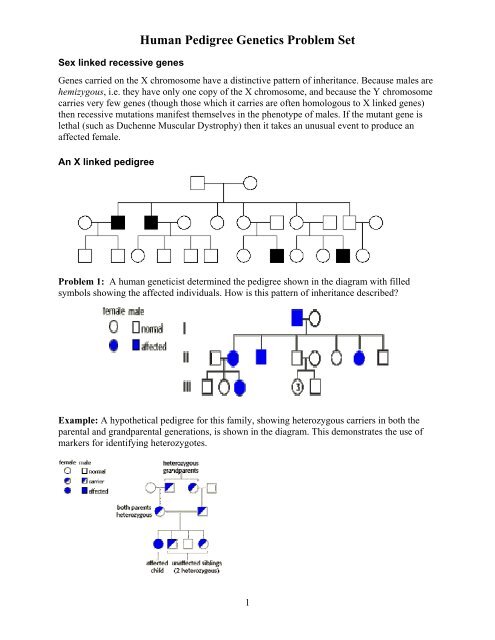 Nonmendelian Genetics Problems Worksheet Pdf / Mendelian Genetics