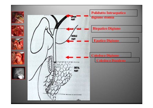 Scarica la relazione. - Oncologia Rimini