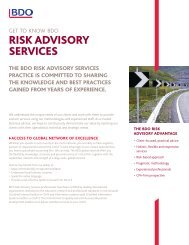 risk aDvisOry services - BDO Consulting