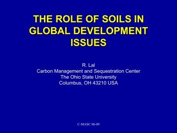 the role of soils in global development issues - ISRIC World Soil ...