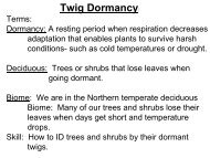 Twig Dormancy: