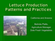 Lettuce Production Patterns and Practices