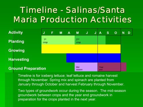 Lettuce Production Patterns and Practices