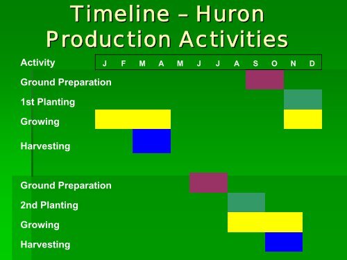 Lettuce Production Patterns and Practices