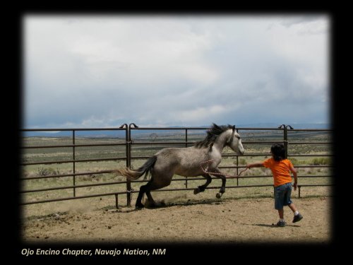 The Quivira Coalition