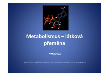 Metabolismus - lÃ¡tkovÃ¡ pÅemÄna. pdf