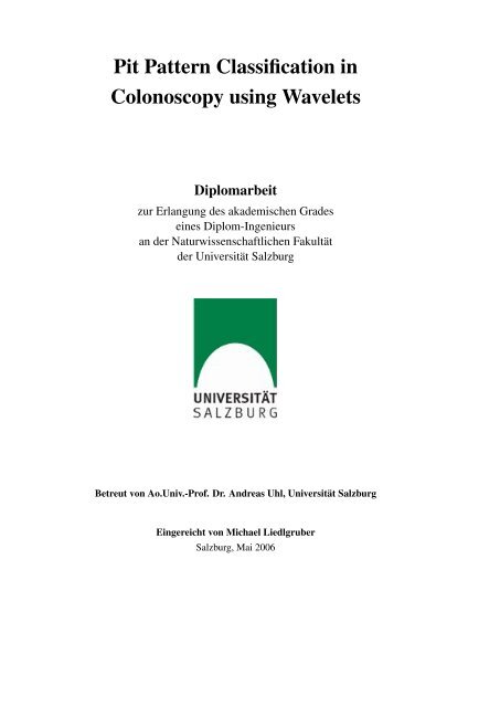 Pit Pattern Classification in Colonoscopy using Wavelets - WaveLab