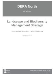 Landscape and Biodiversity Management Strategy - Runnymede ...