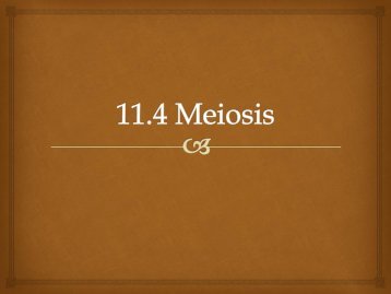 Chapter 11.4 Meiosis 2012 notes.pdf